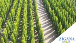 1fd3bbbc-22df-4eb1-afa1-c8221a8ece79